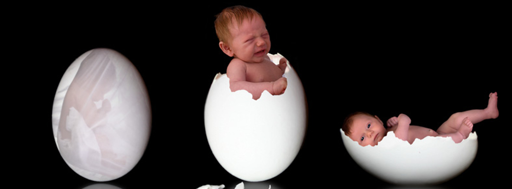 Baby aus dem Ei